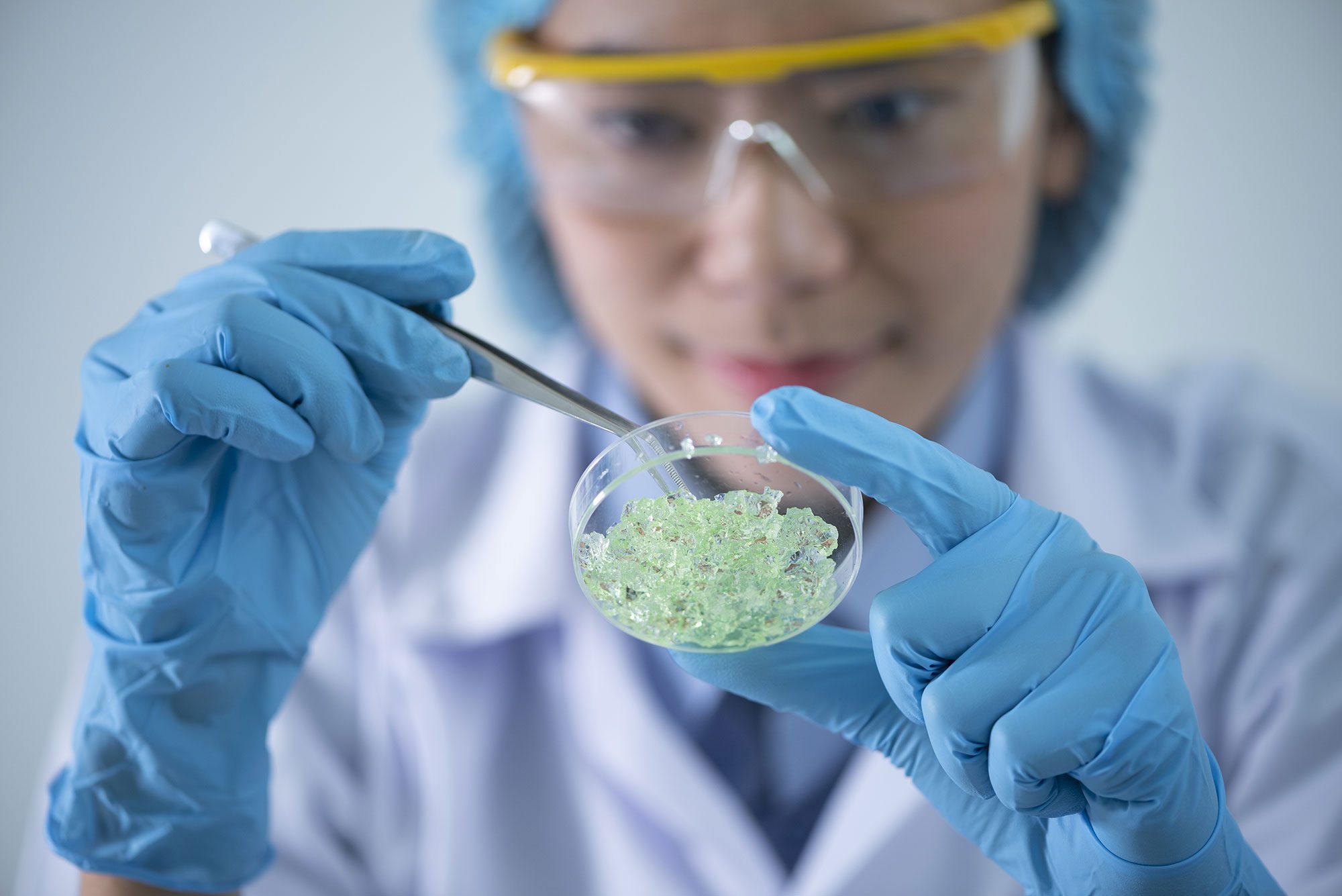 Life Science-Wissenschaftler, der eine Substanz aus einer Laborschale entnimmt